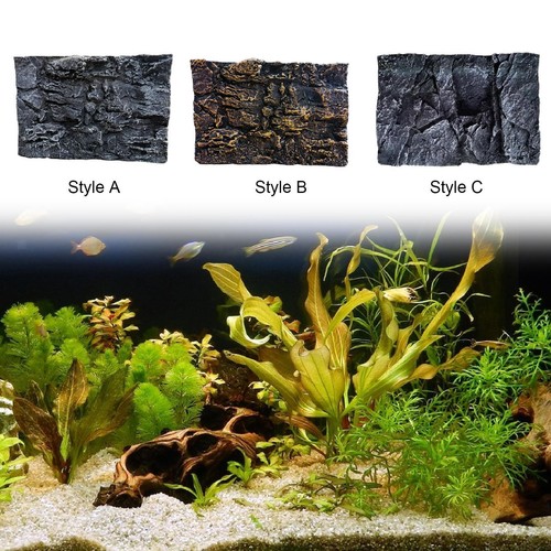 Rock aquarium background - 3d,