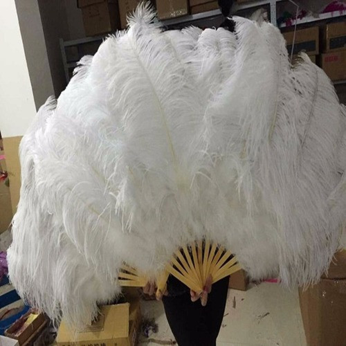 Big ostrich feathers fan with - big,