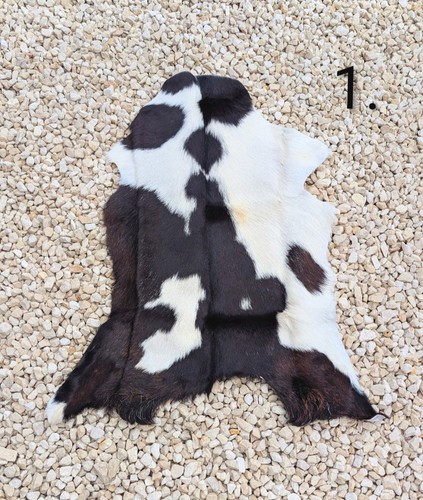 Goathide rug skulls bones - rug,, skulls,