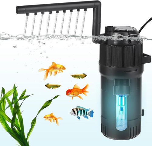 Internal fish tank - internal,