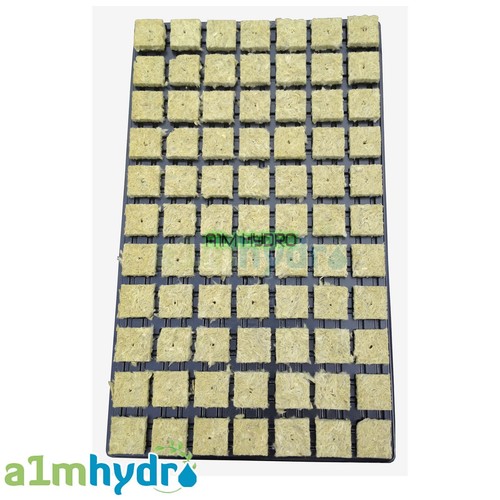 Grodan 36mm sbs rockwool - sbs,