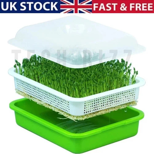 Microgreen sprouter tray - microgreen,