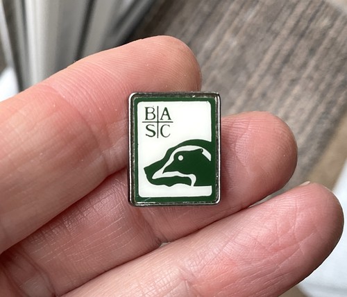 Vintage basc small ish - , pin