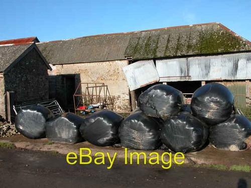 Silage bales lower - bales, at