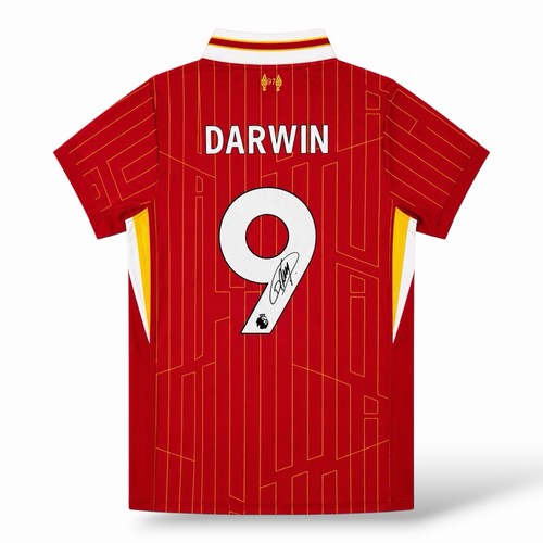 Darwin nunez signed liverpool - nunez,