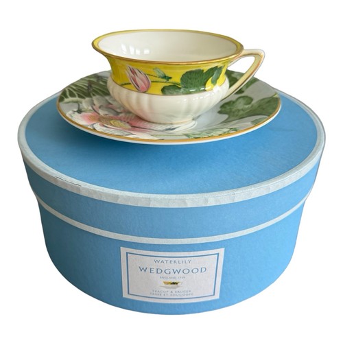 Wedgwood wanderlust teacup and - teacup,