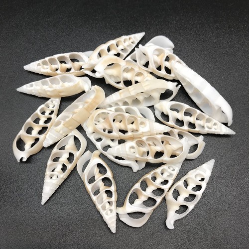 White center cut - 20, pc