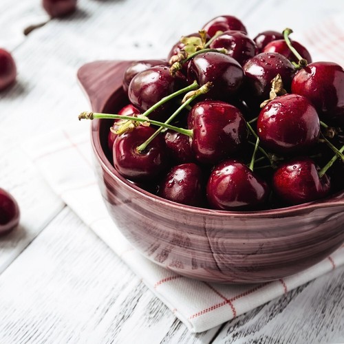 Cherry tree stella - t&m, 'stella'