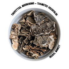 Turkeytail Dried Mushrooms  |