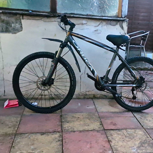 Orbea 26in mountain - orbea,