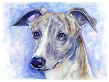 artav Whippet 01 Art Print of Original Watercolor Paint