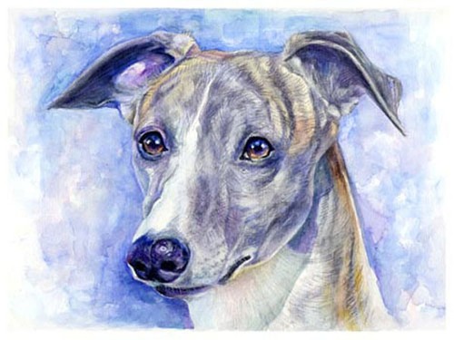 Artav whippet art print of - art,