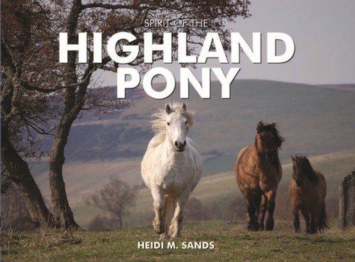 Spirit the highland pony by - of,