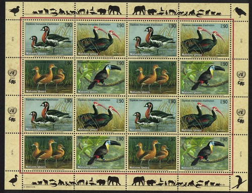 Goose ibis duck toucan - goose,