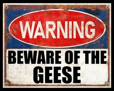 BEWARE OF THE GEESE GOOSE