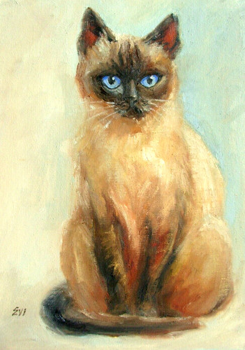 Siamese cat original - siamese, oil