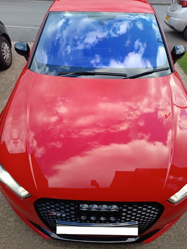 Chameleon tint real - chameleon,