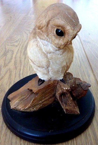 Baby barn owl - baby,