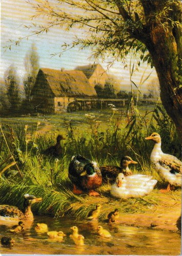 Carl jutz mallard ducks - ducks, &