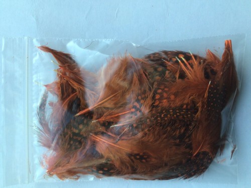 Guinea fowl dyed - feathers, ,3
