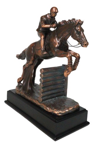 Equestrian racing galloping - equestrian,