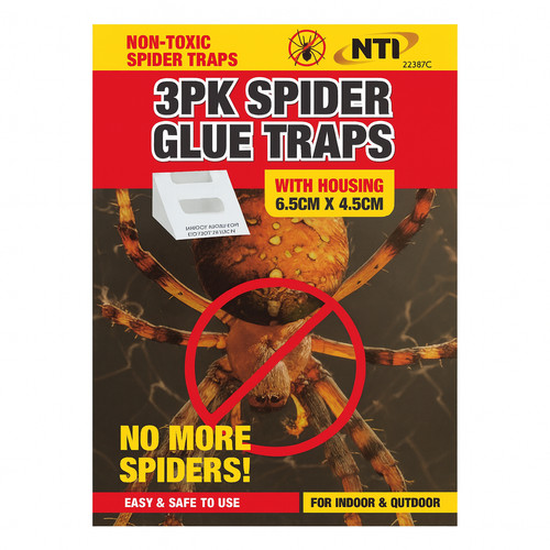 Spider glue traps indoor - spider,