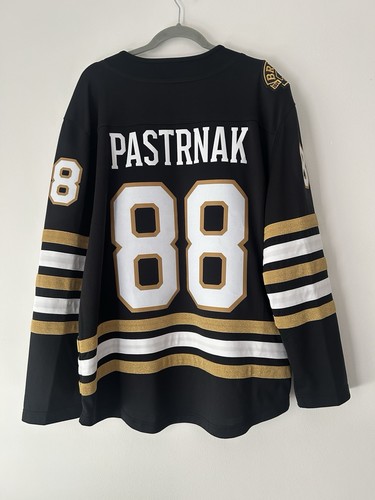 Boston bruins centennial - boston,