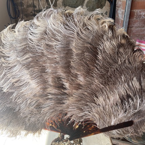 Ostrich feather fan - ostrich,