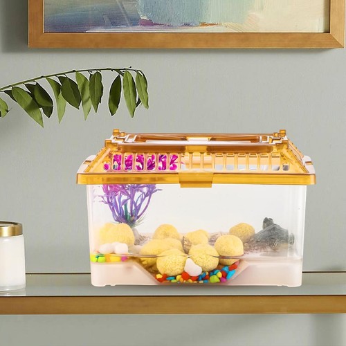 Transparent turtle tank - turtle, with