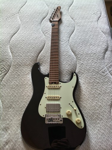 Schecter nick johnston - schecter,