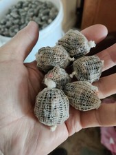 120 pre filled MINI carp bait