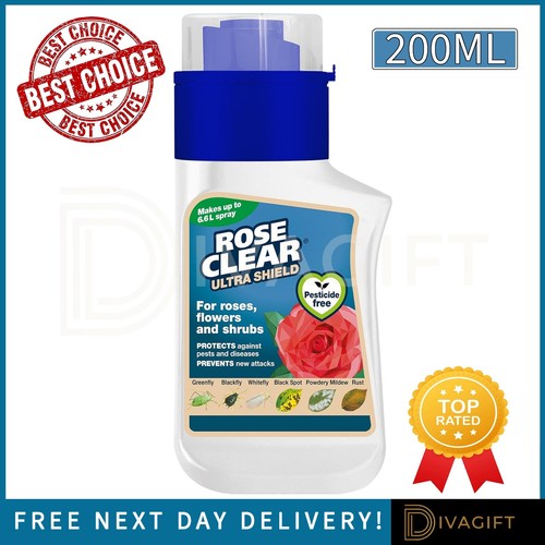 Rose clear ultra shield - rose,