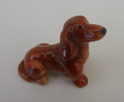 Goebel miniature dachshund dog - dachshund,