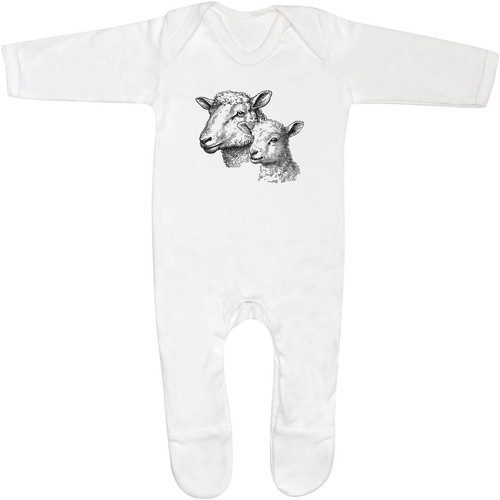 Sheep and lamb baby - 'sheep, lamb'