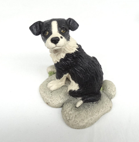Border fine arts all creatures - border,