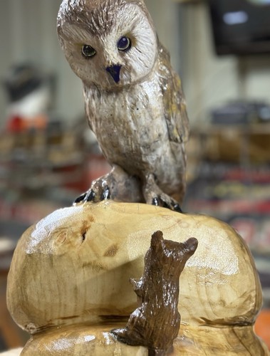 Chainsaw carved wooden owl and