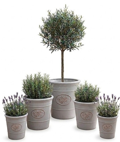 Garden plant pots plastic grey - plant,