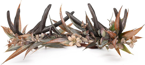 Antler crown for - for, fairy