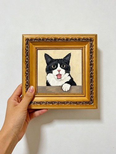 Tuxedo cat with open - with,