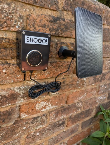 Audio bird scarer for - audio,