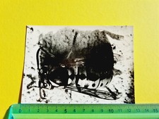 PHOTOGRAPHY BEE VESPA 60s 70s