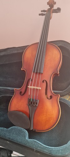 Viola primavera prima 100 - 13",