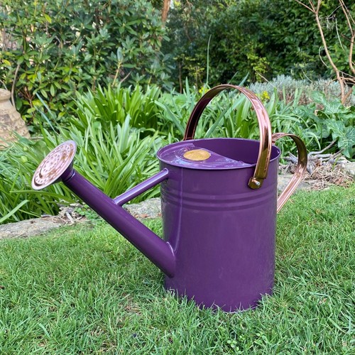 Watering can metal indoor - metal, &