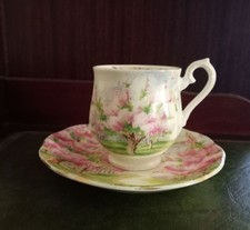 Beautiful Vintage Royal Albert "Blossom Time" Demitasse Cup and Saucer, England