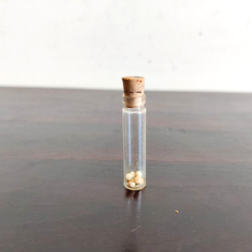 1930s vintage homeopathic - vintage,