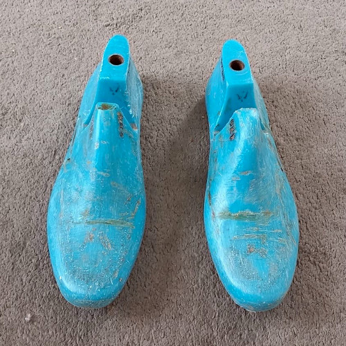 Plastic shoe boot - trees, pair