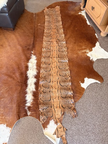 Python snakeskin leather hide - leather,