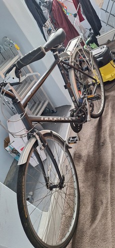 Viking belgravia bike cream - bike,