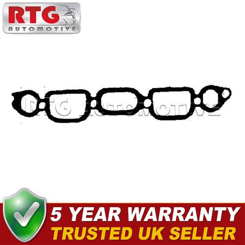 Intake exhaust manifold - exhaust, gasket