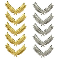 Airline Crew Hat Badge for